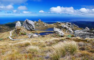 Hump ridge track tarns